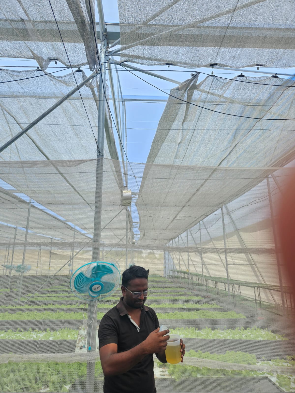 Testing the nutrient solution